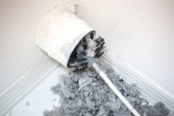 Best Affordable HVAC Duct Cleaning  in Genesee, ID